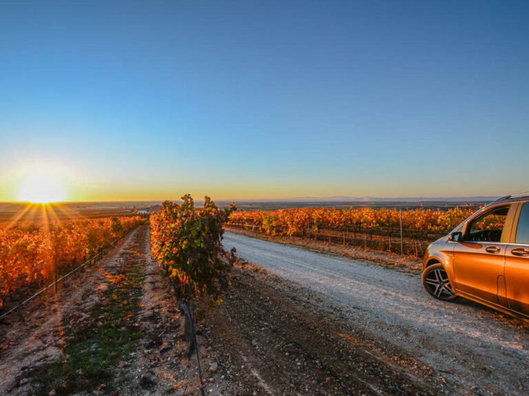 Pers wijnreis Ribeira del Duero 2021 - Ribeira del Duero wijntoerisme