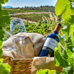 Wijnreis en golf Spanje bij het Peralada wijnhotel