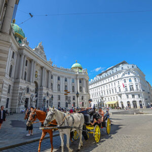 Romantische wijnreis Wenen : love en sightseeing combi