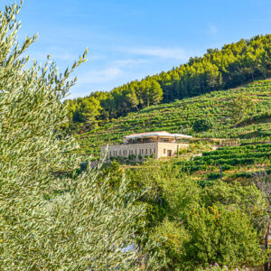 Wijnhotel Font des Peres – Wijnreis Provence