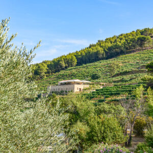 Wijnhotel Font des Peres – Wijnreis Provence