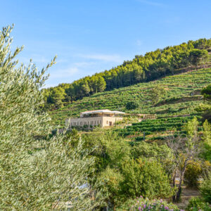 Wijnhotel Font des Peres – Wijnreis Provence