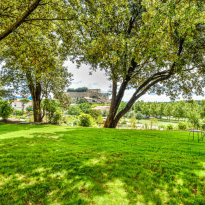 Wijnreis Rhone – Hotel La Ferme Chapouton