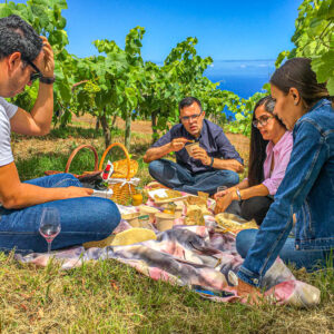 Druivenoogst Tenerife, Canarische Eilanden