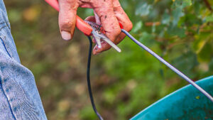 FR-WRR-098 - Druivenoogst Champagne - Troyes - Frankrijk - 16-9