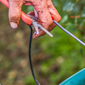 Druivenoogst Champagne bij Troyes : een mooie en gezellige ervaring