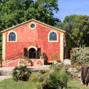 Druivenoogst Provence : kijken in alle ontspanning