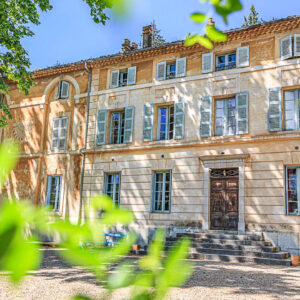 Druivenoogst Provence : kijken in alle ontspanning