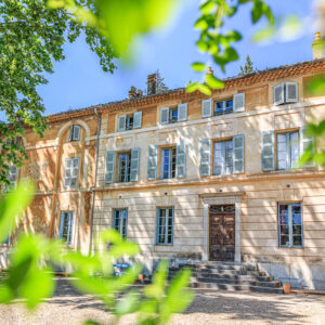 Druivenoogst Provence : kijken in alle ontspanning