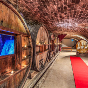 Druivenoogst Provence : kijken in alle ontspanning