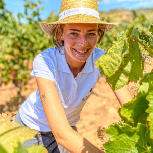 Druivenoogst Alentejo in Portugal met lunch en overnachting op het wijndomein