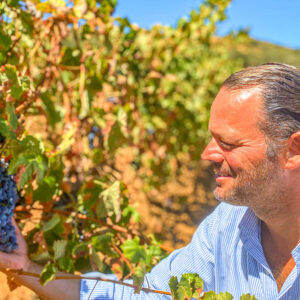 Druivenoogst Alentejo in Portugal met lunch en overnachting op het wijndomein