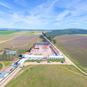 Wijnreis Alentejo, mooie ontdekking en sightseeing