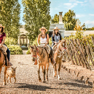 Wijnreis en paardrijden op maat