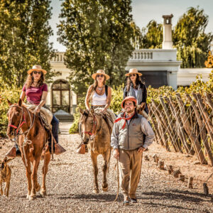 Wijnreis en paardrijden op maat