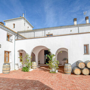 5-daagse wijnreis Valencia en Alicante