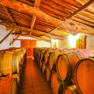 5-daagse wijnreis Valencia en Alicante