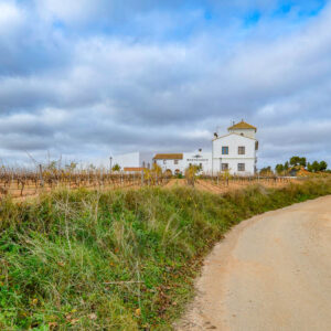 5-daagse wijnreis Valencia en Alicante