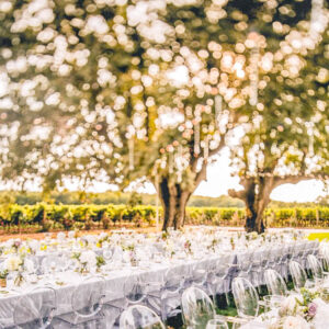 Huwelijk en wijnreis op maat