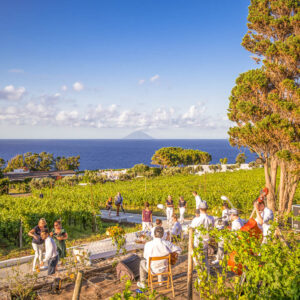 Huwelijk en wijnreis op maat