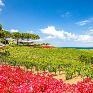 Wijn en romantisch weekend op maat