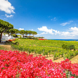 Wijn en romantisch weekend op maat