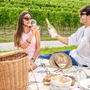 Wijn en picknick in de wijngaarden op maat