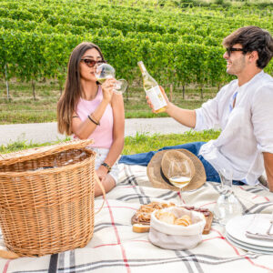 Wijn en picknick in de wijngaarden op maat