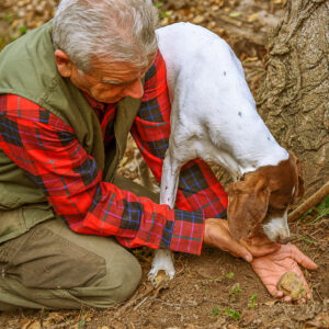 Wijn en truffel op maat