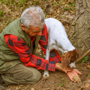 Wijn en truffel op maat