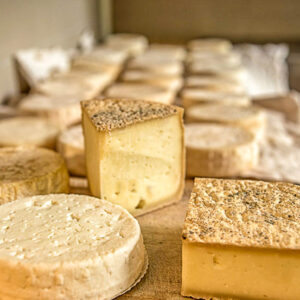 Wijn en kaas proeven in de Piemonte op maat