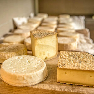 Wijn en kaas proeven in de Piemonte op maat