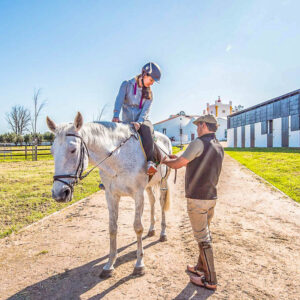 Wijnreis en paardrijden op maat