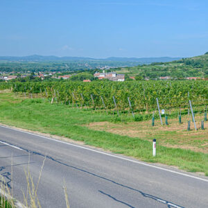 6-daagse groepswijnreis Slovenië