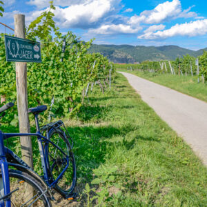 Wijn en fietsen op maat