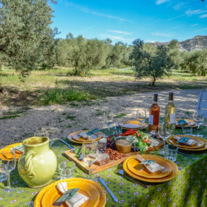 Wijn en olijfolie proeverij op maat