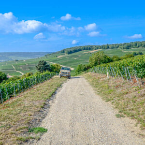 Wijnreis Champagne met culinaire ervaring in een 4×4