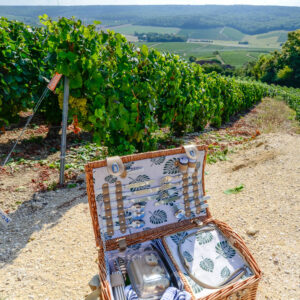 Wijnreis Champagne met culinaire ervaring in een 4×4