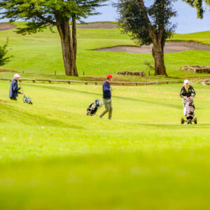 Wijn en golf op maat