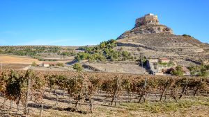 Lees meer over het artikel Wijnproeverij Bodegas Comenge
