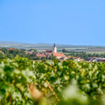 Tsjechische wijnen ontdekken - dorp