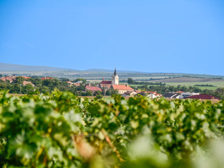 Tsjechische wijnen ontdekken - dorp