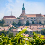 Tsjechische wijnen ontdekken - Mikulox en wijngaarden