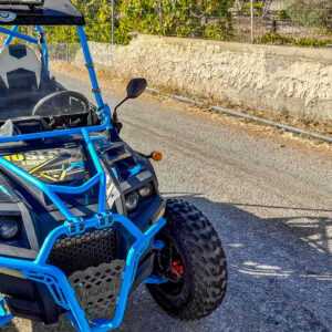 Wijn en buggy tour op maat