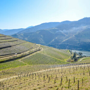 Citytrip Porto met wijnproeverij