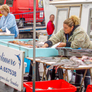 Citytrip Marseille met wijnproeverij