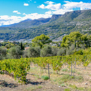 Citytrip Nice met wijnproeven