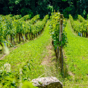 Citytrip Milaan met wijnproeverij