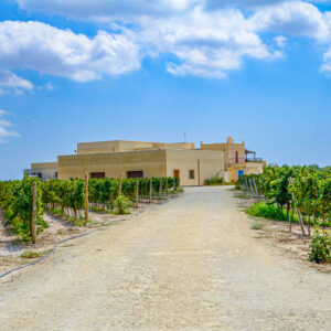 Citytrip Malta met wijnproeverij