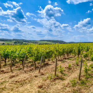 Fantastische incentive wijnreis Lyon